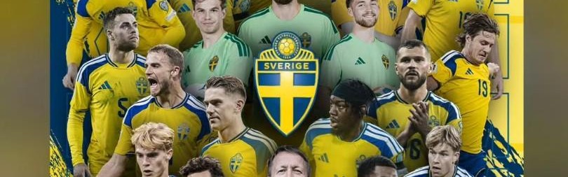 九游体育首页入口-来自前辈的认可，伊布祝贺瑞典进军世界杯：伙计们，美国见