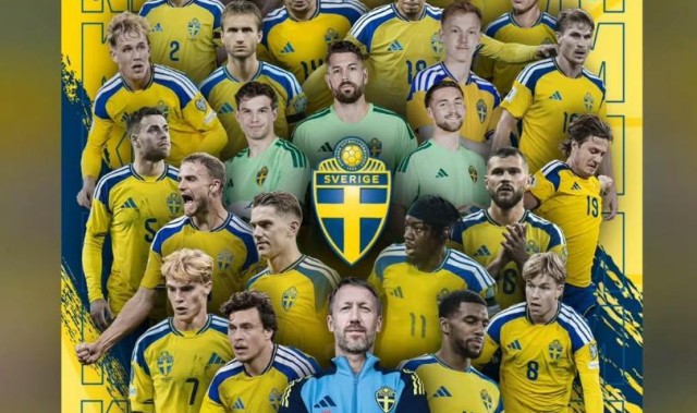 九游体育首页入口-来自前辈的认可，伊布祝贺瑞典进军世界杯：伙计们，美国见