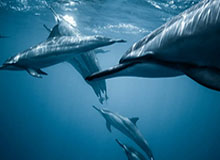 九游体育在线网站-国足成绩没有让国人满意 主教练邵佳一：需要不断地学习